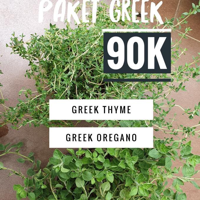 

Paket greek isi tanaman greek thyme dan greek oregano