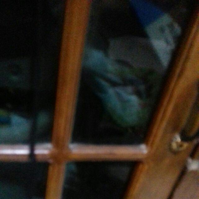 Sprei Monalisa Premium Doraemon