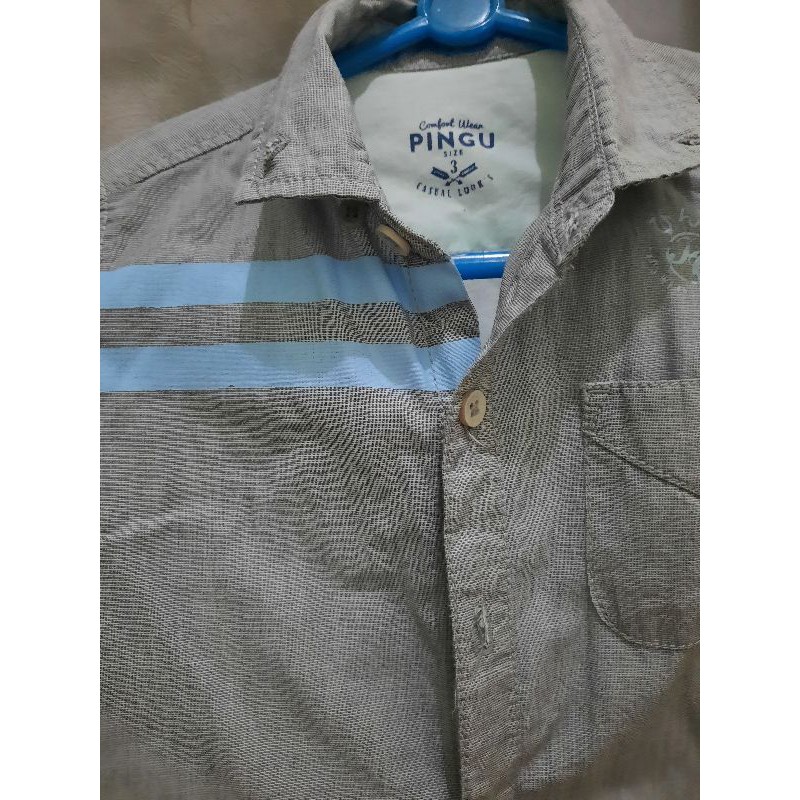 pingu kemeja