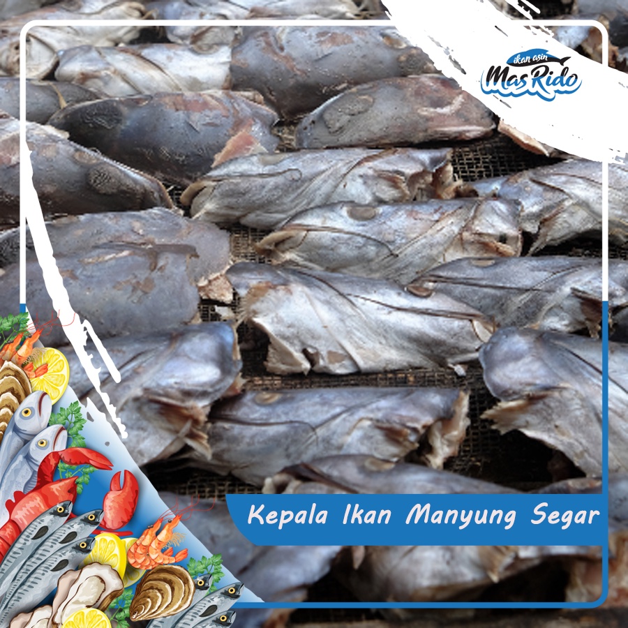 

Kepala Manyung Mangut Ikan Segar Fresh Kwalitas Super Harga Murah