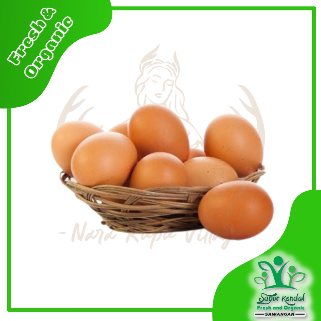 

Telur Ayam Negeri Premium (1 Kg) - Sayur Kendal Sawangan