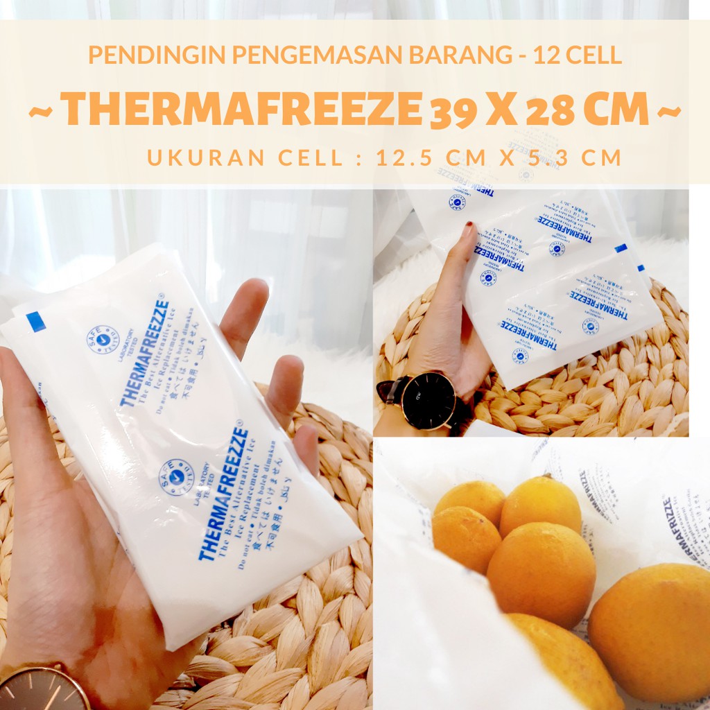 THERMAFREEZE LEMBARAN /DRY ICE BIANG ES / DRY ICE