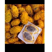 Buah naga kuning Dragon yellow  1 kg