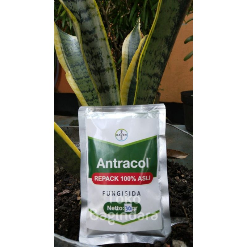 Antracol 70WP +Zinc Repack 30 Gram