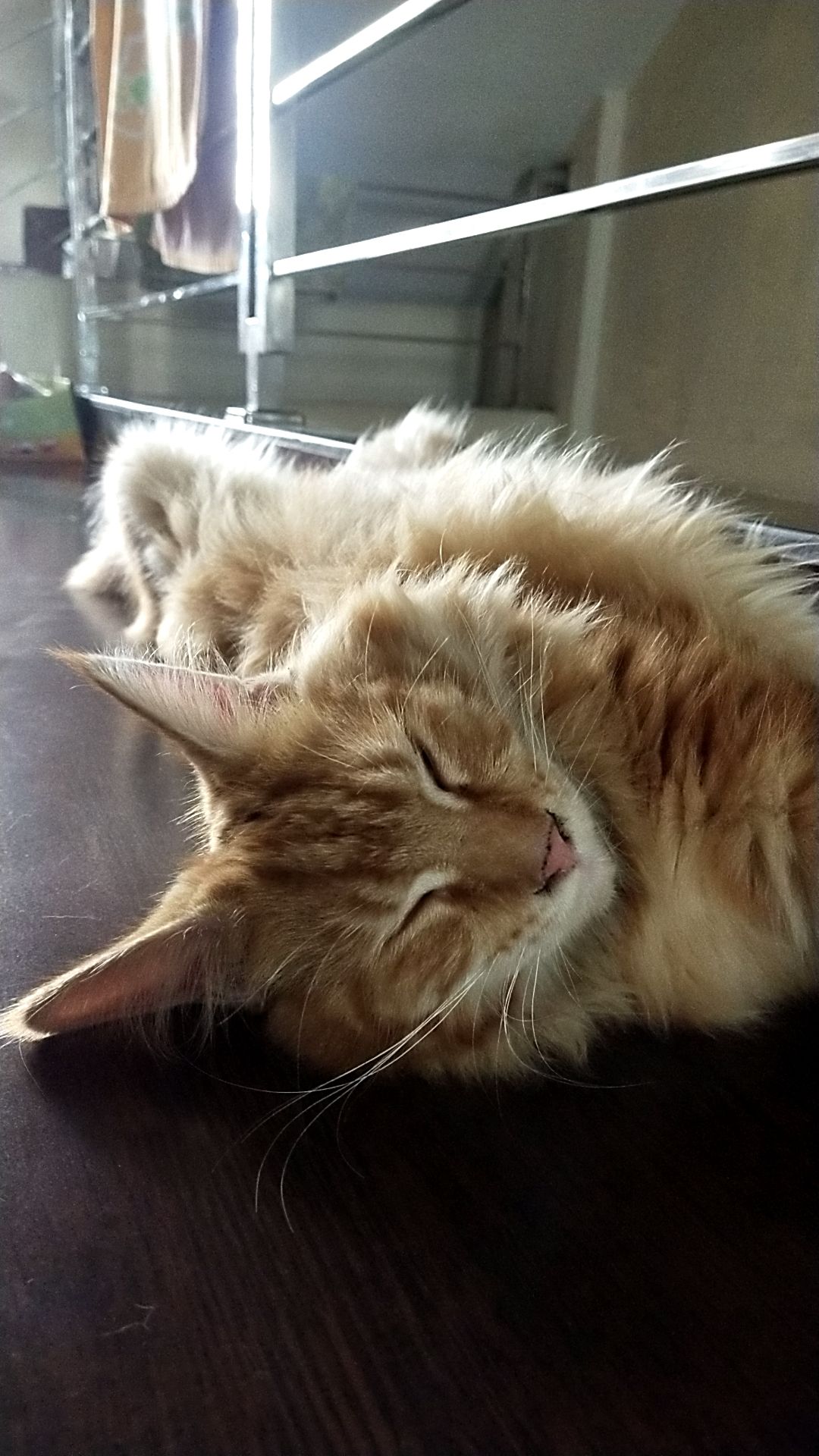 Big Sale/ Jazzy Gamis Batik Gamis Viral Gamis Busui Gamis Andin Gamis Muslimah