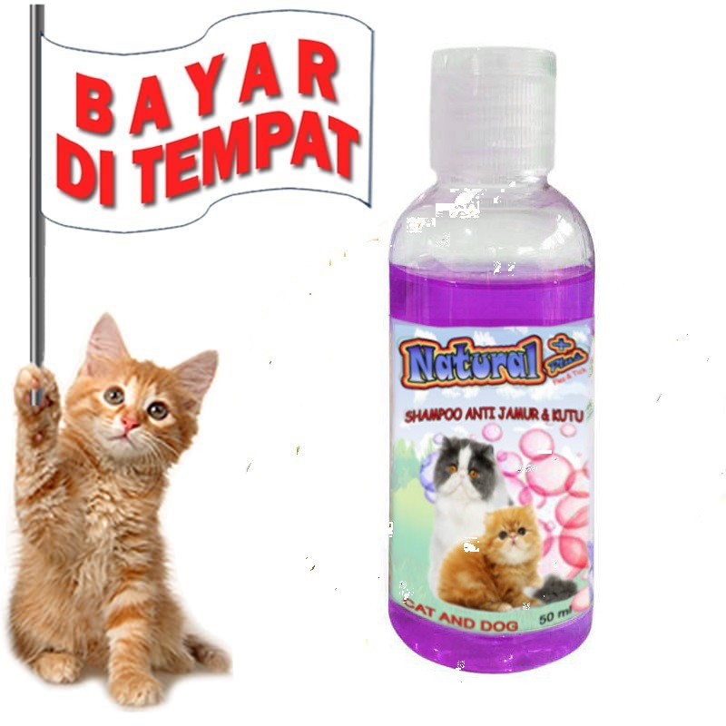 SAMPO KUCING MURAH NATURAL PLUS SHAMPO KUCING ANTI KUTU JAMUR AMPUH