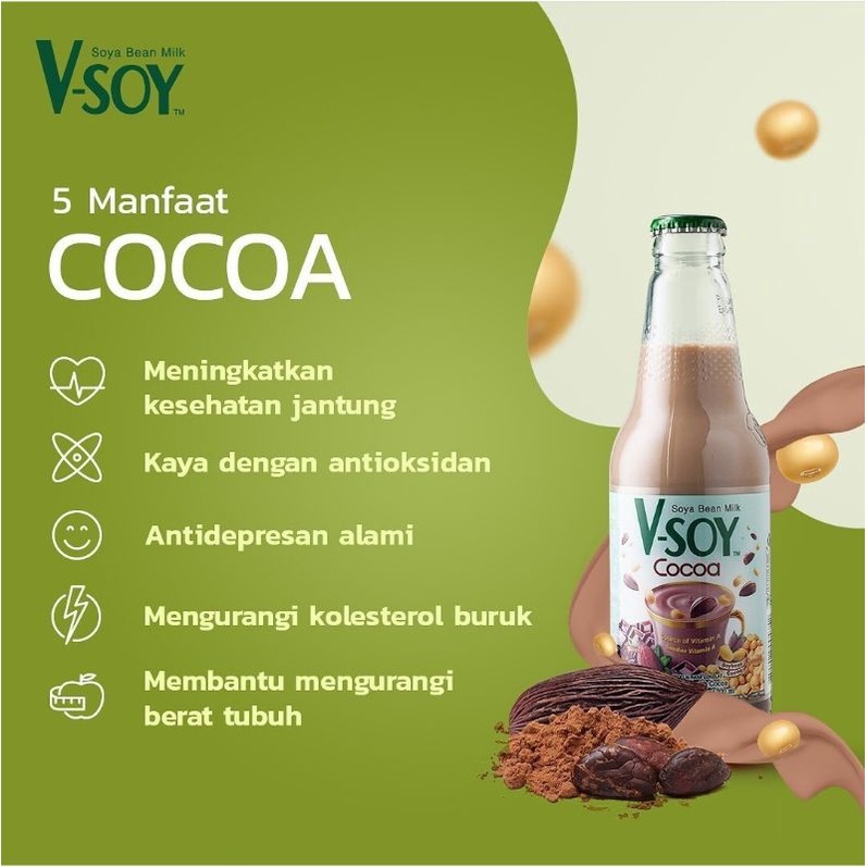 V-Soy Vsoy V Soy Susu Kedelai Soy Milk Coklat Chocolate Cocoa Multi Grain Bottle Botol 300ml