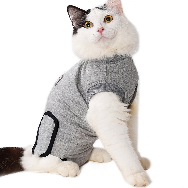 cat recovery shirt