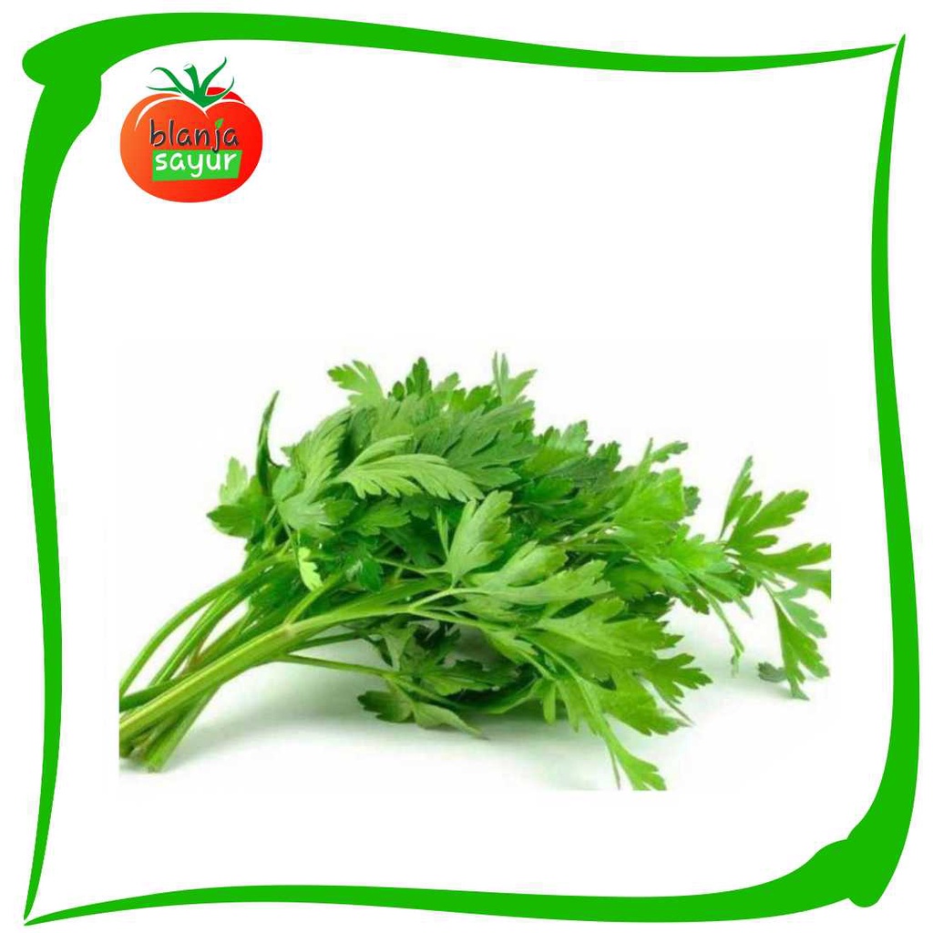 

Daun sop/sledri