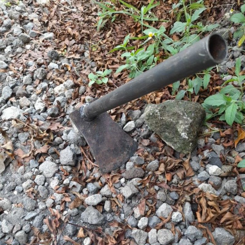 pacul kecil baja per / wangkil baja