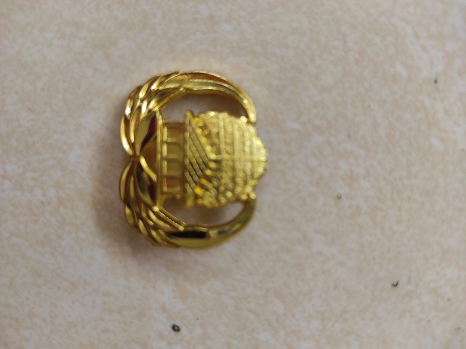 Pin Korpri Kopri Pin KORPRI kuningan peniti 3cm ORIGINAL 