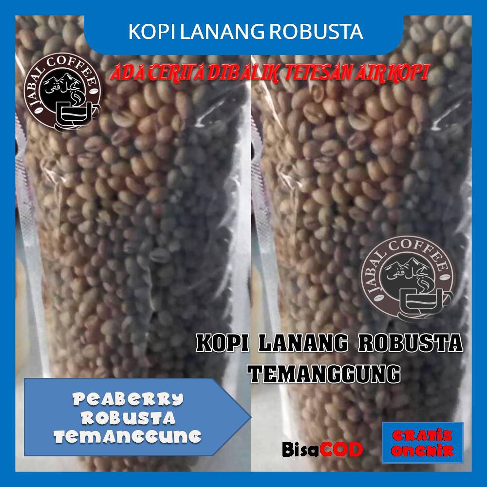 Kopi Lanang Robusta Temanggung / Peaberry Coffee Robusta