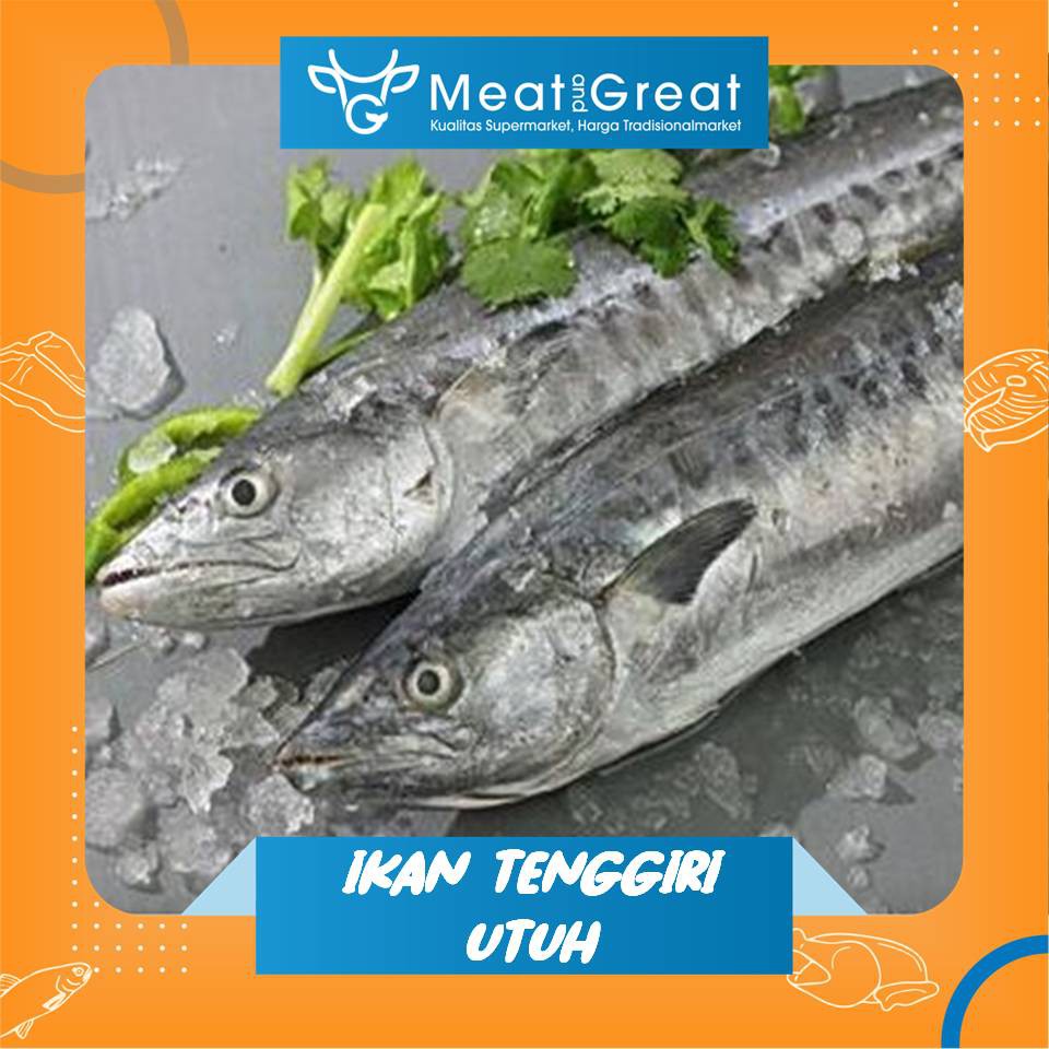 

Ikan Tenggiri Segar Utuh 500gr 1 kg