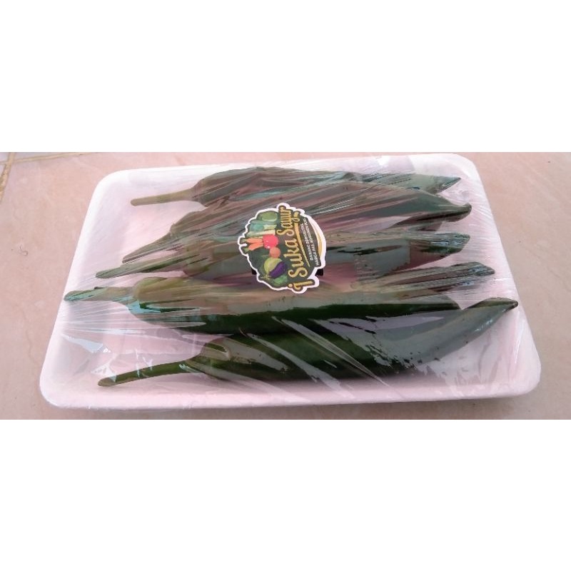 

Cabe Besar hijau