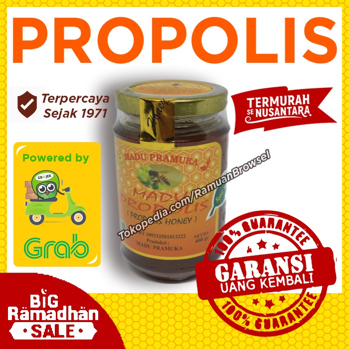 

Madu Propolis Pramuka 300 Gram - MMD1730