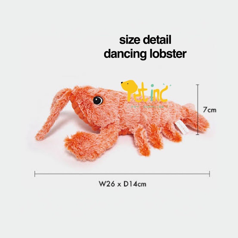 pet gravity dancing lobster