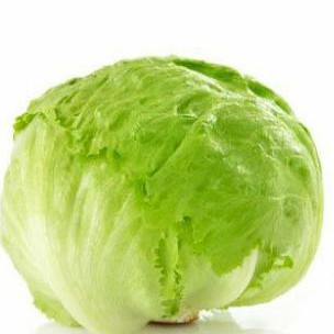 

Lettuce head 1kg PROMO