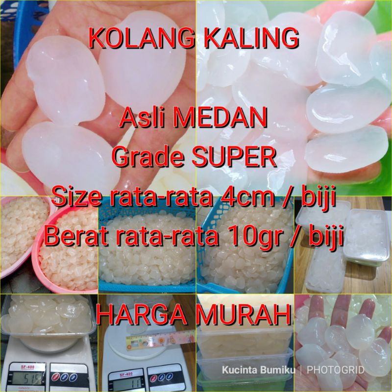

KolangKalingSuperAsliMedan
