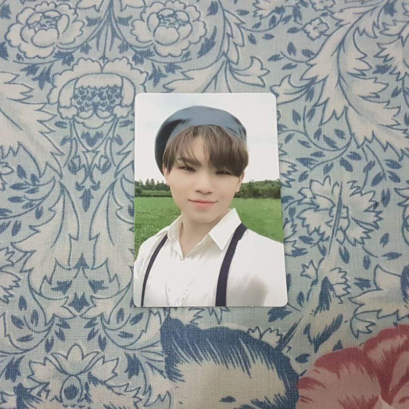 Photocard PC Woozi Beret An Ode