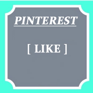 PINTEREST LIKE