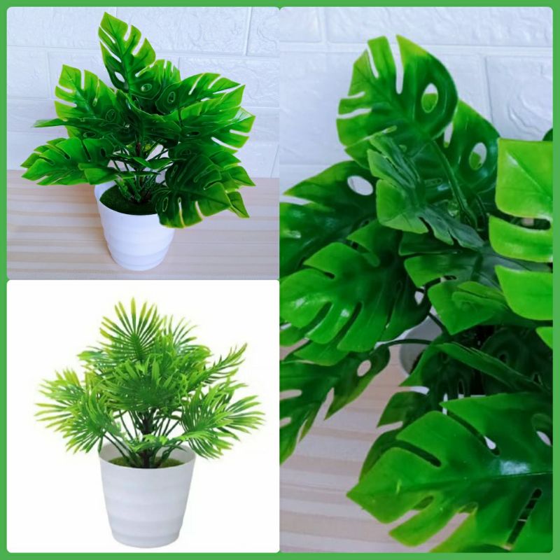Tanaman plastik monstera janda bolong hias artificial