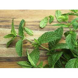 Sirup Mint / Mint Syrup Minuman GKC Heritage 640 ml (Import Quality)