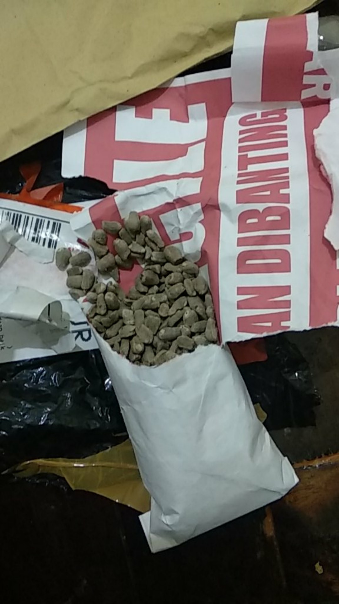 Benih Porang Asal Bunga Bukan Katak Ataupun Umbi Porang