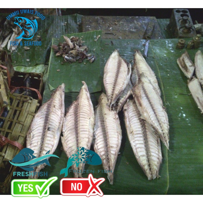 

Ikan Tongkol Pindang Berkualitas - Isi 1 Pcs