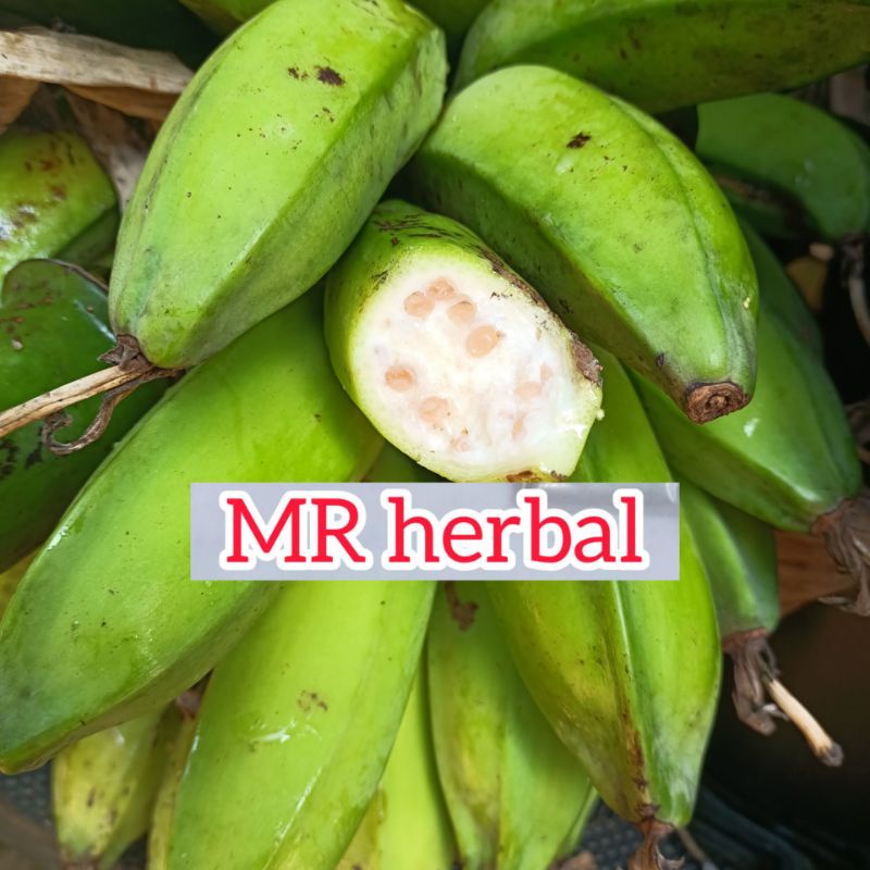 

Pisang batu atau pisang kulutuk segar per 1sisir