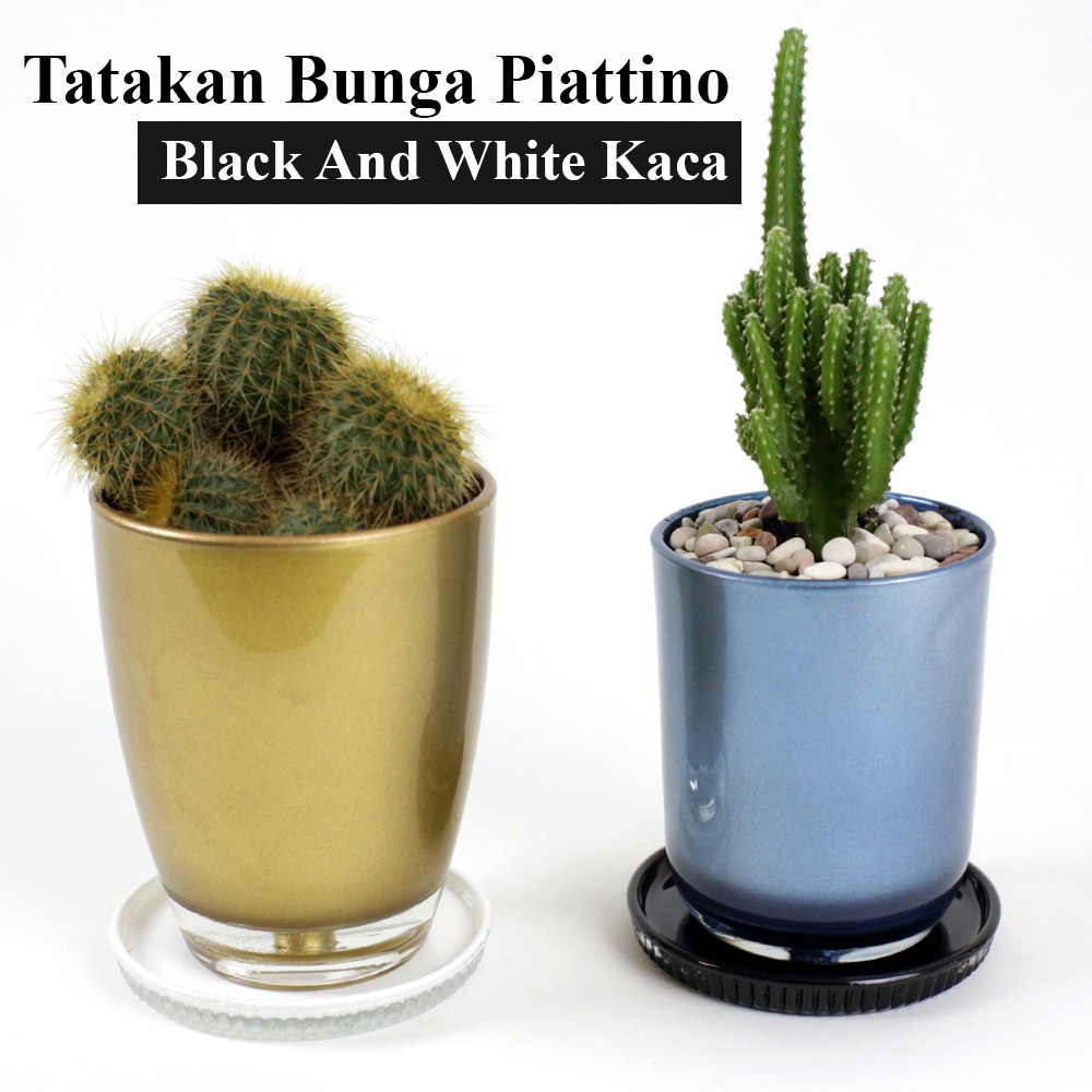 FM - Tatakan Pot Glass Pad Bunga 8 cm Series Piattino Black And White Kaca