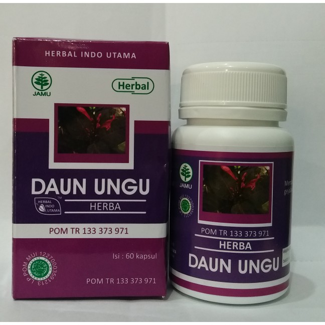 

Hiu Daun Ungu Herbal