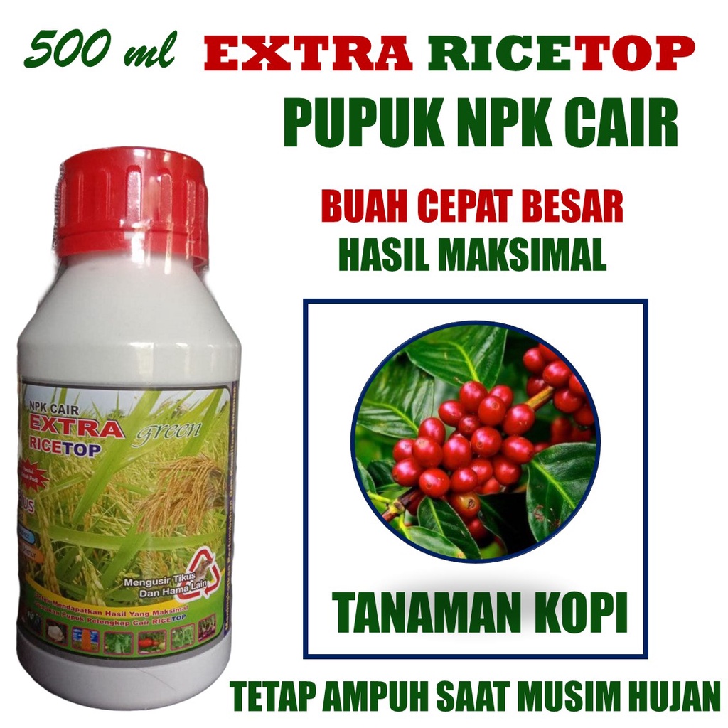 [PUPUK KOPI TERBAIK] EXTRA-RICETOP Pupuk Tanaman Kopi Agar Berbuah Lebat dan Berat Semua Jenis Kopi 