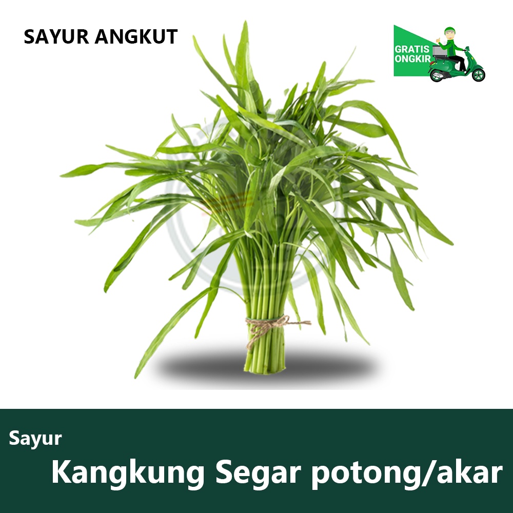 

Sayur Angkut - Kangkung Conventional 250/500gr