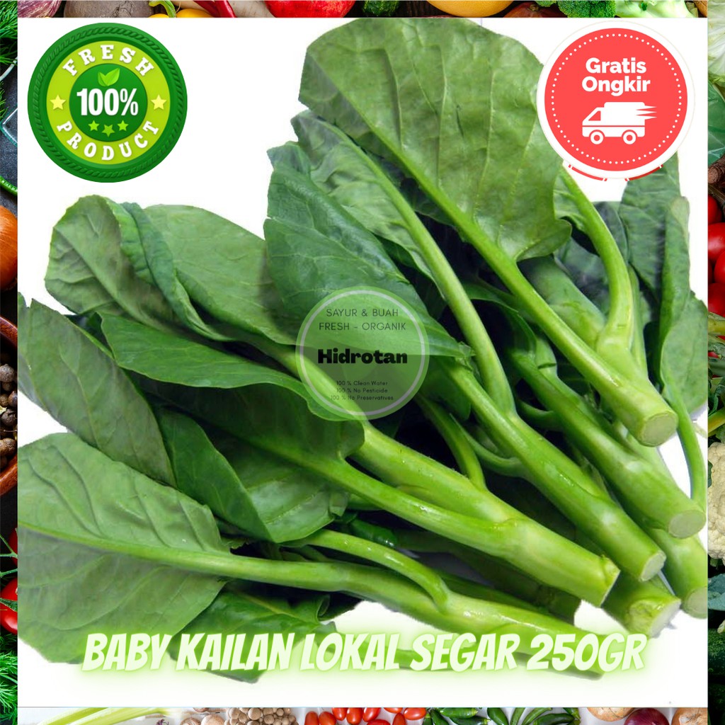 

Kailan 250gr - Sayuran Segar Murah | Paket Makanan Combo Fresh - Free Emas