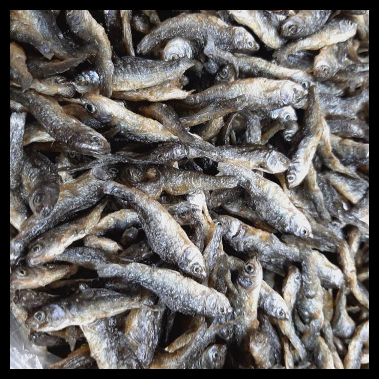 

DISKON TERBATAS !!! IKAN BILIS PADANG ASLI DANAU SINGKARAK 1KG TERLARIS