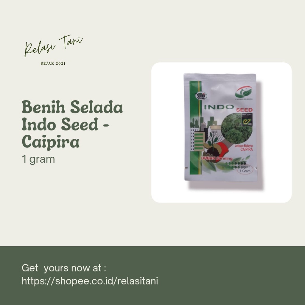 Benih Selada Caipira 1 gram Indo Seed - Original Packing PT Indogreen Seed Indonesia
