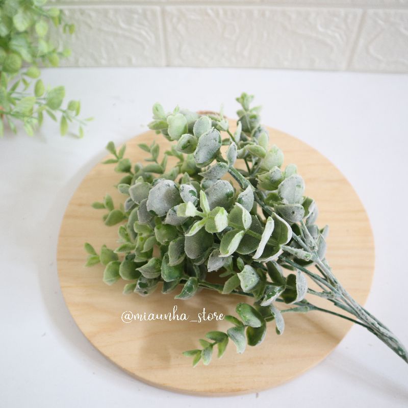 [Artificial] daun eucalyptus embun bulat