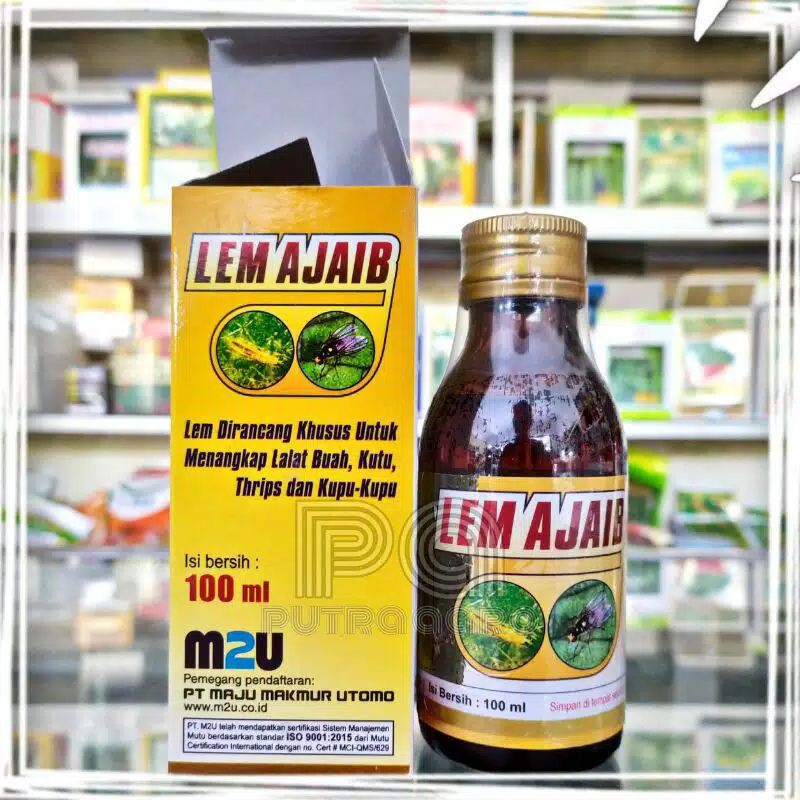 

M2M Lem Ajaib
