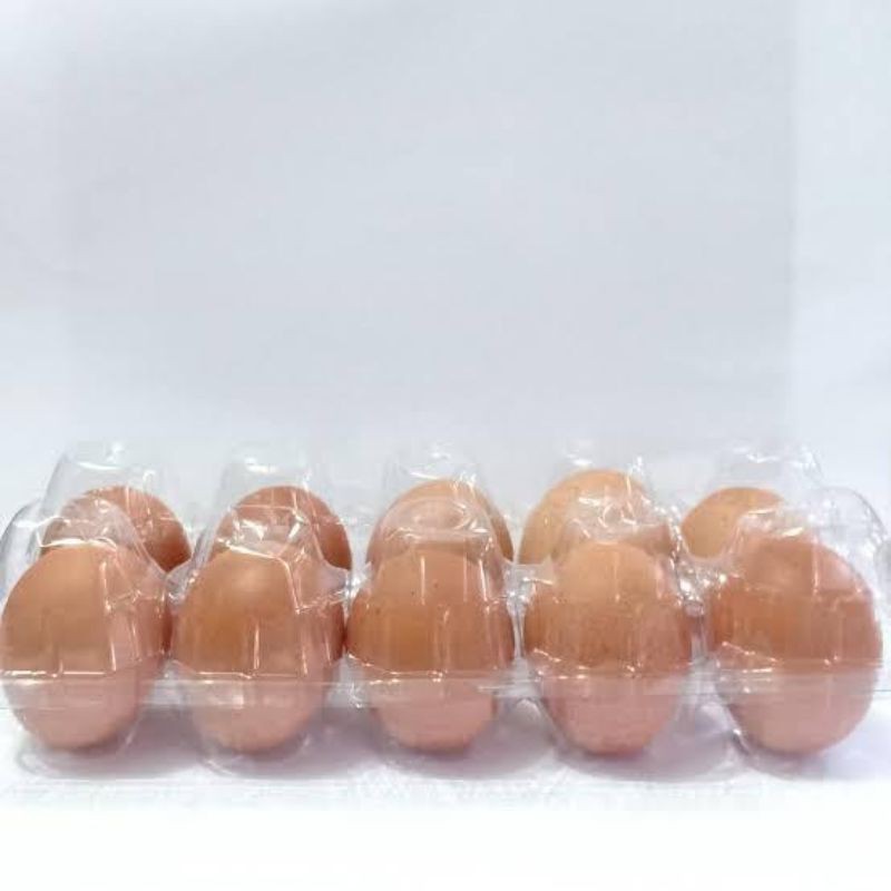 

Telor ayam negeri / telor ayam isi 10 pcs
