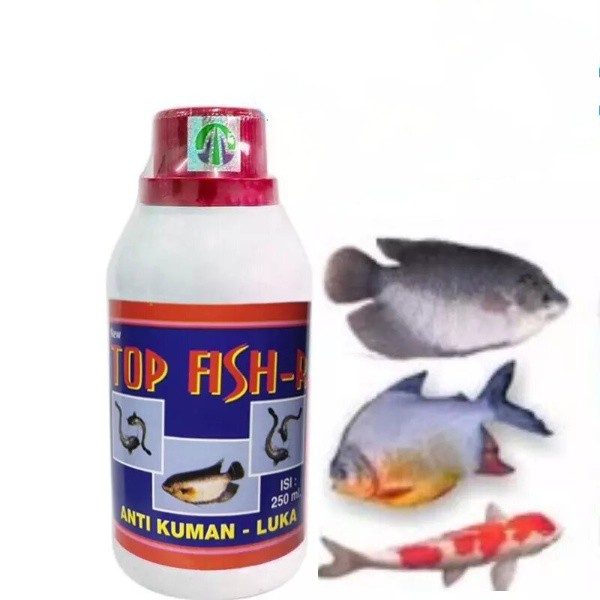 Top Fish Red Merah 250ml Obat Ikan Mas Anti Bakteri Kuman Luka Infeksi