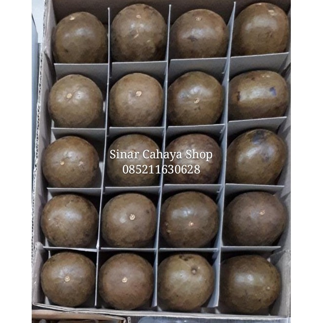 Buah Lo Han Kuo (Lou Han Guo) Besar 20 butir