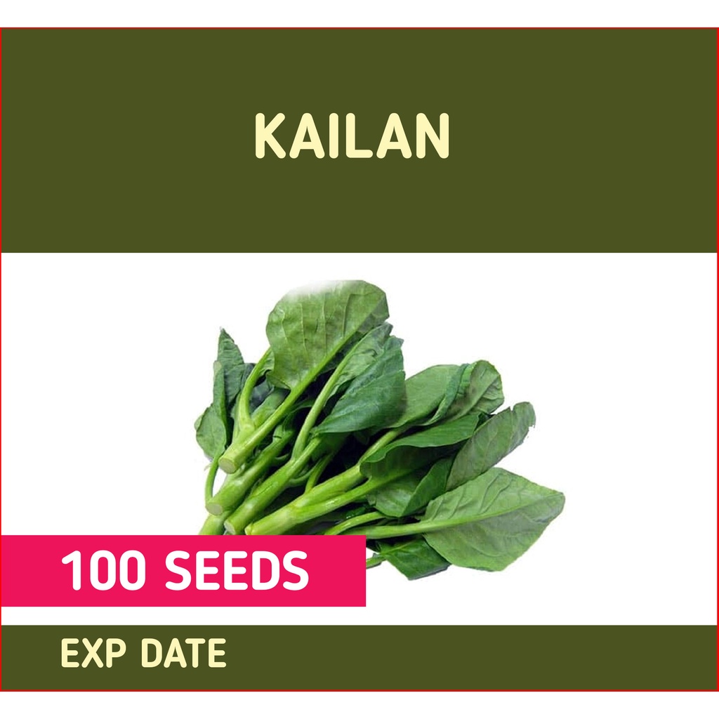 Repack Kailan Seed