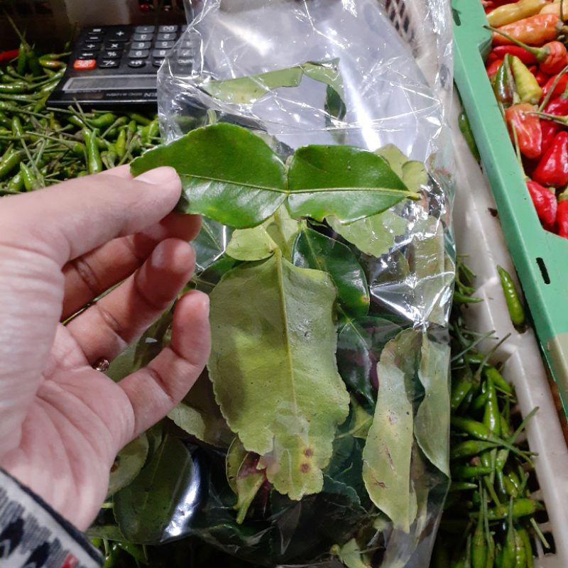 

daun jeruk