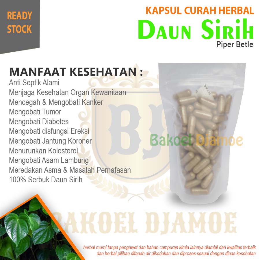 Jual Kapsul Curah Herbal Daun Sirih Kapsul Herbal Sembelit Bau Badan Shopee Indonesia 1735