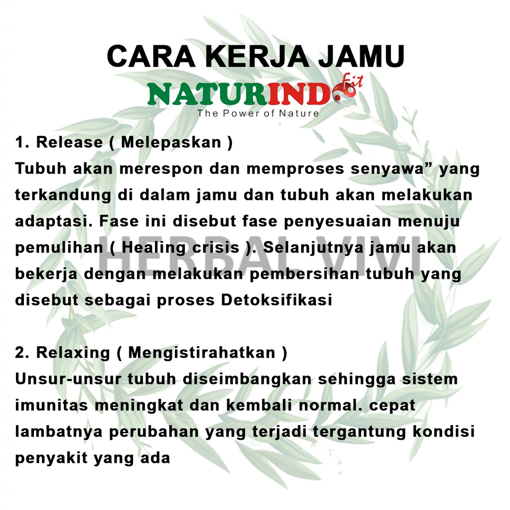 VERMIFIT Obat Herbal Alami Ampuh Menyembuhkan Sakit Kepala-6