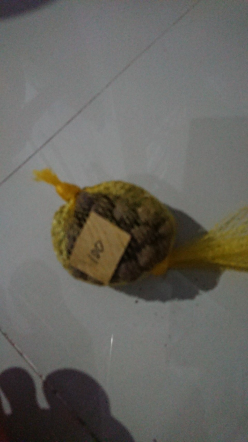 Bibit Porang Dorman | Katak Super Mini 700/ Biji