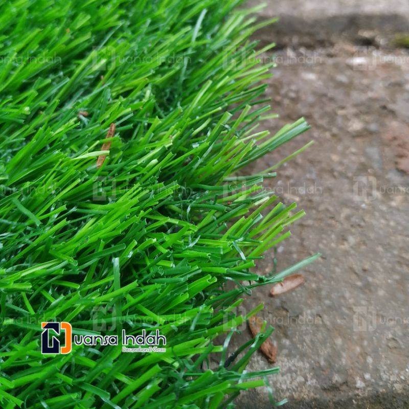 RUMPUT SINTETIS TYPE SWISS PREMIUM UKURAN 75x50 CM