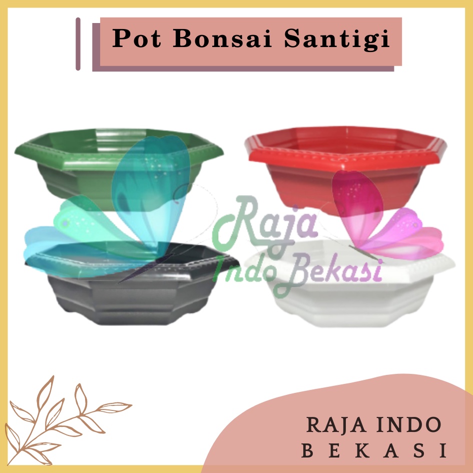 Pot Bonsai Santigi 30 Warna Warni Bonsai Segi 8 By Garden Of Love Pot Bonsai Kotak Ceper Kelapa