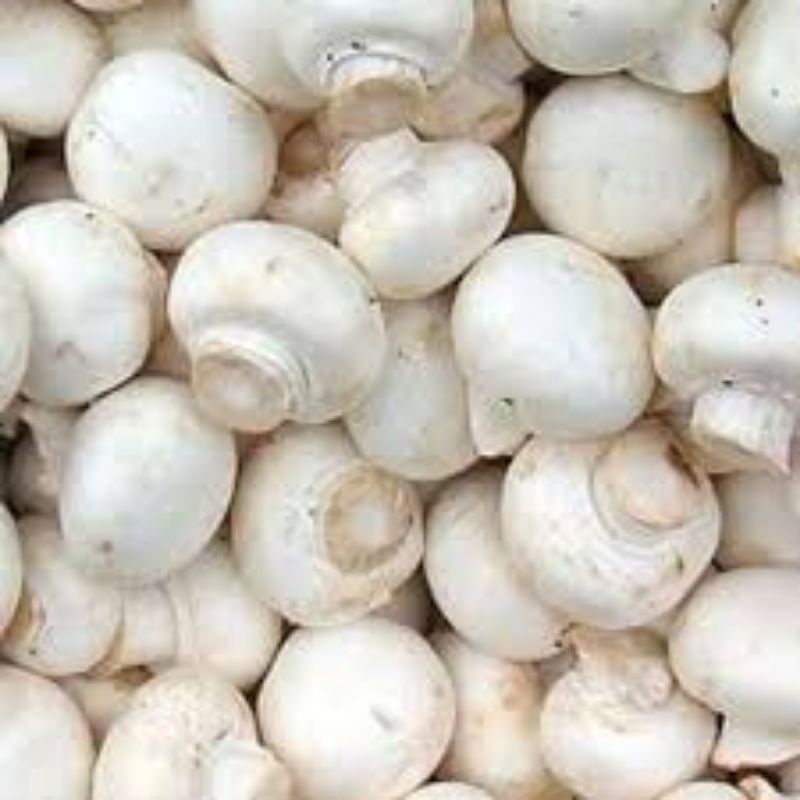 

Jamur Campinon 100gr