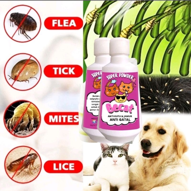 Bedak  Kucing kitten Anti Kutu Jamur Scabies Grooming Kucing Bedak Kutu Kucing FEFARM